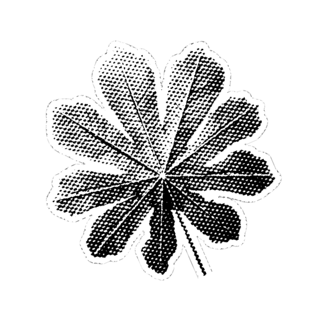 Presencia territorial